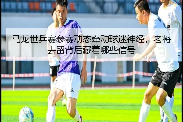 马龙世乒赛参赛动态牵动球迷神经，老将去留背后藏着哪些信号